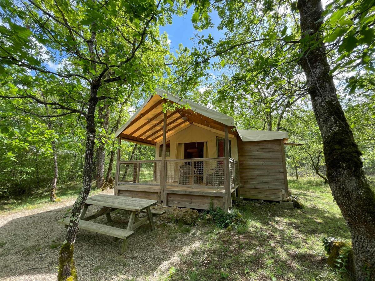 Du Bois Dodo - Ancien De Bois Redon Camping